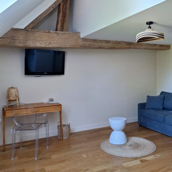 duplex-salon-canape